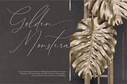 Sophia Martini Calligraphy Font, a Script Font by Letteralle Studios (Thumbnail 11 of 11)