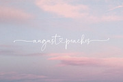 Palm Honey // Modern Lovely Script, a Handwritten Font by PeachCreme (Thumbnail 10 of 11)