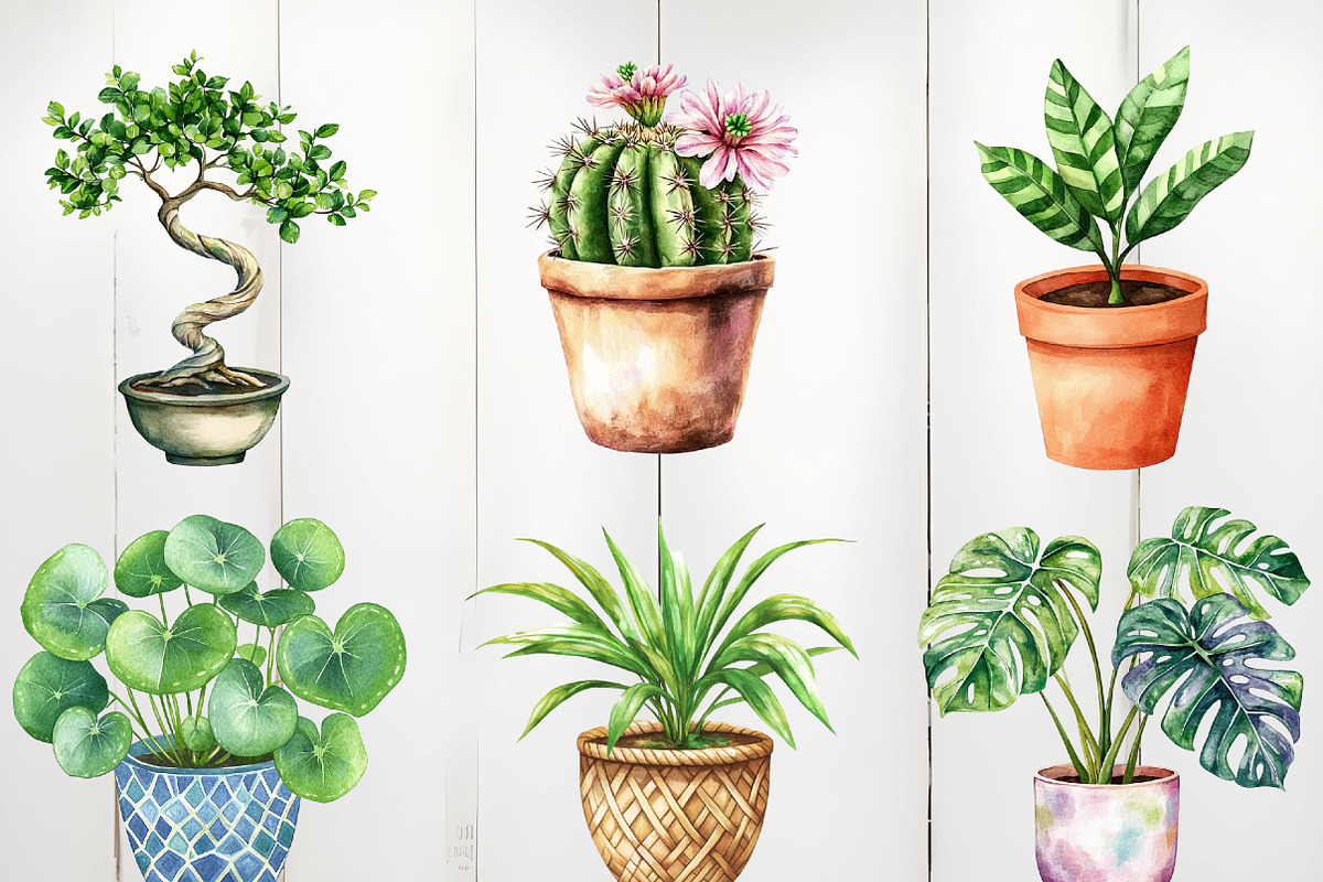 Watercolor Houseplant Clipart, an Illustration by Watercolor design (Photo 3 of 4)