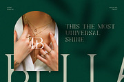 Levelly Luxury Premium Serif Font, a Serif Font by Artiveko (Thumbnail 2 of 9)