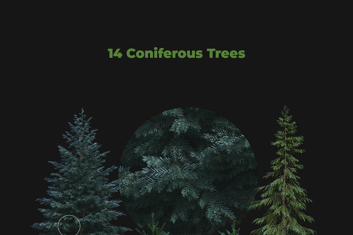 Artistic Nature Mockup #01, a Product Mockup by ARKS ACADEMY (Photo 4 of 11)