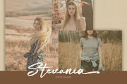 Bottamkia Brush Script Font, a Script Font by NTC Graphic (Thumbnail 2 of 8)
