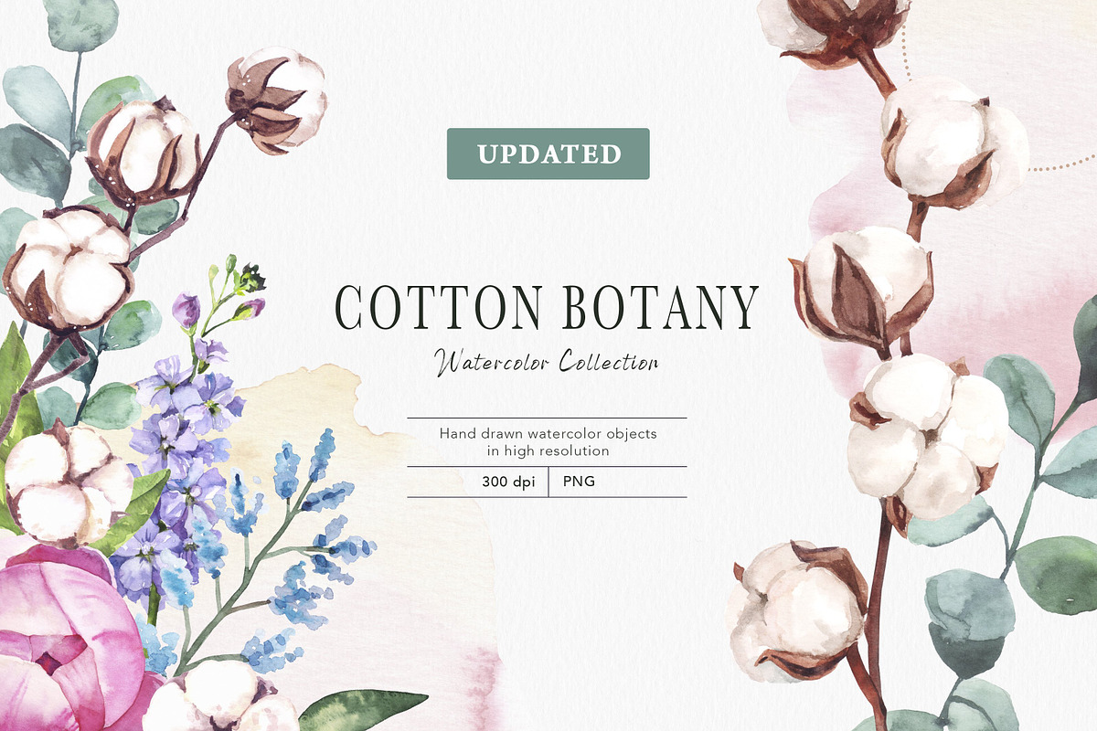 Botanical BUNDLE 10 in 1, a Decorative Illustration by Volha Studio (Photo 10 of 11)