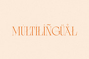 Monarque - Elegant & Chic Serif, a Serif Font by Mikhail Kitsune (Thumbnail 8 of 8)