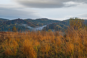 Cloudy and foggy early morning autumn meadow scene. Peaceful pic, a Nature Photo by YuriyB
