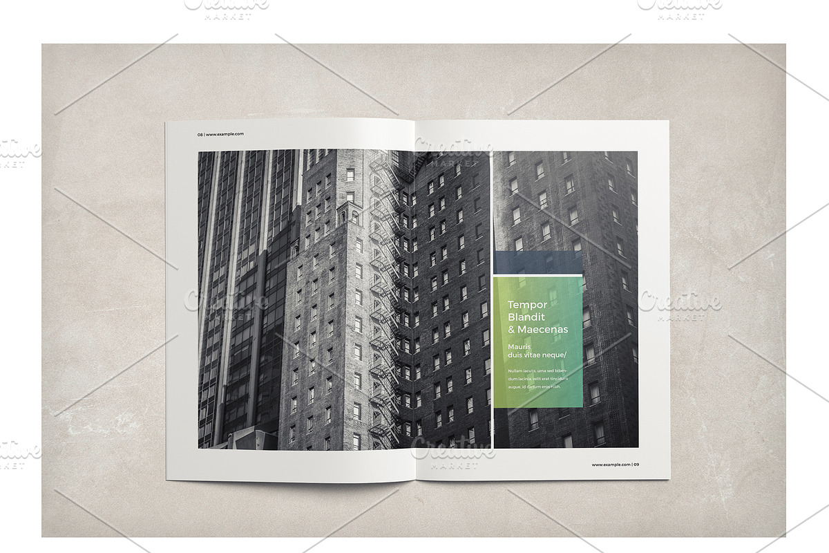 Multipurpose Business Brochure, a Brochure Template by ShapShapy (Photo 9 of 20)
