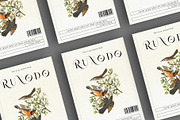 QHARO - Elegant & Luxury, a Serif Font by BOOSH Studio (Thumbnail 6 of 14)