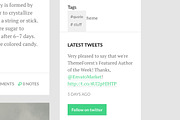 Candis Tumblr Theme, a Websites & App Template by Themelantic (Thumbnail 3 of 3)
