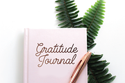 Brookley - Monoline Script Font, a Script Font by Danielle Eneh (Thumbnail 12 of 12)