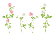 Vector object brushes. Clover, a Brush Add-On by Peolla (Thumbnail 9 of 14)