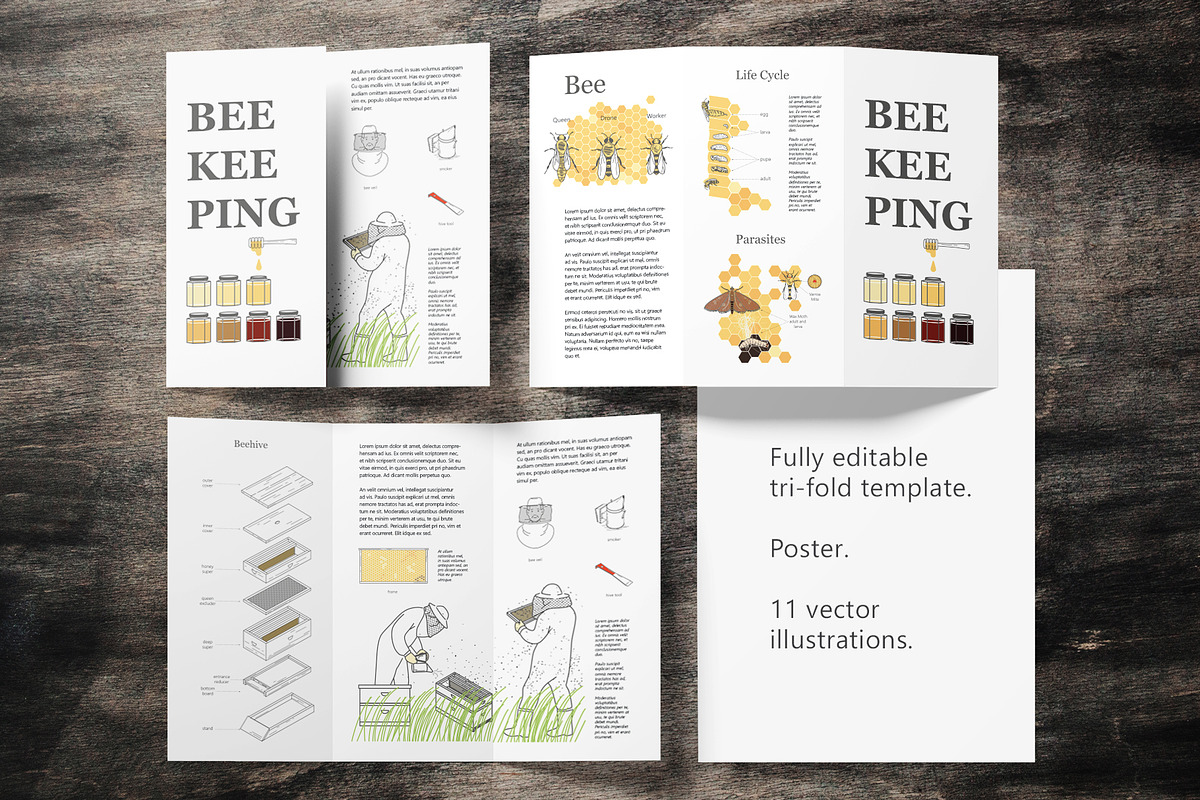 Beekeeping illustrations + tri-fold, an Education Illustration by bartamarabara (Photo 2 of 4)