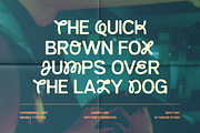 Sanger, a Sans Serif Font by Fargun Studio (Thumbnail 9 of 20)