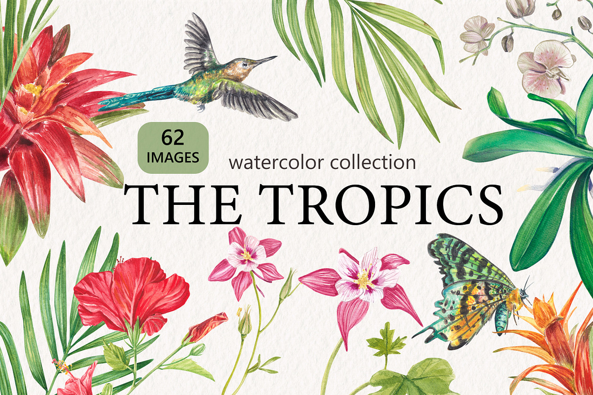 Tropic flower watercolor clip art, a Decorative Illustration by Nastya Che (Photo 1 of 9)