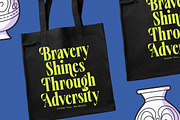 Vardent Modern Display Serif Font, a Serif Font by timelesstype.co (Thumbnail 5 of 20)