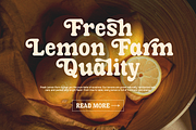 Chocovan Groovy — Retro Groovy Serif, a Serif Font by Claymoon Lab (Thumbnail 3 of 8)