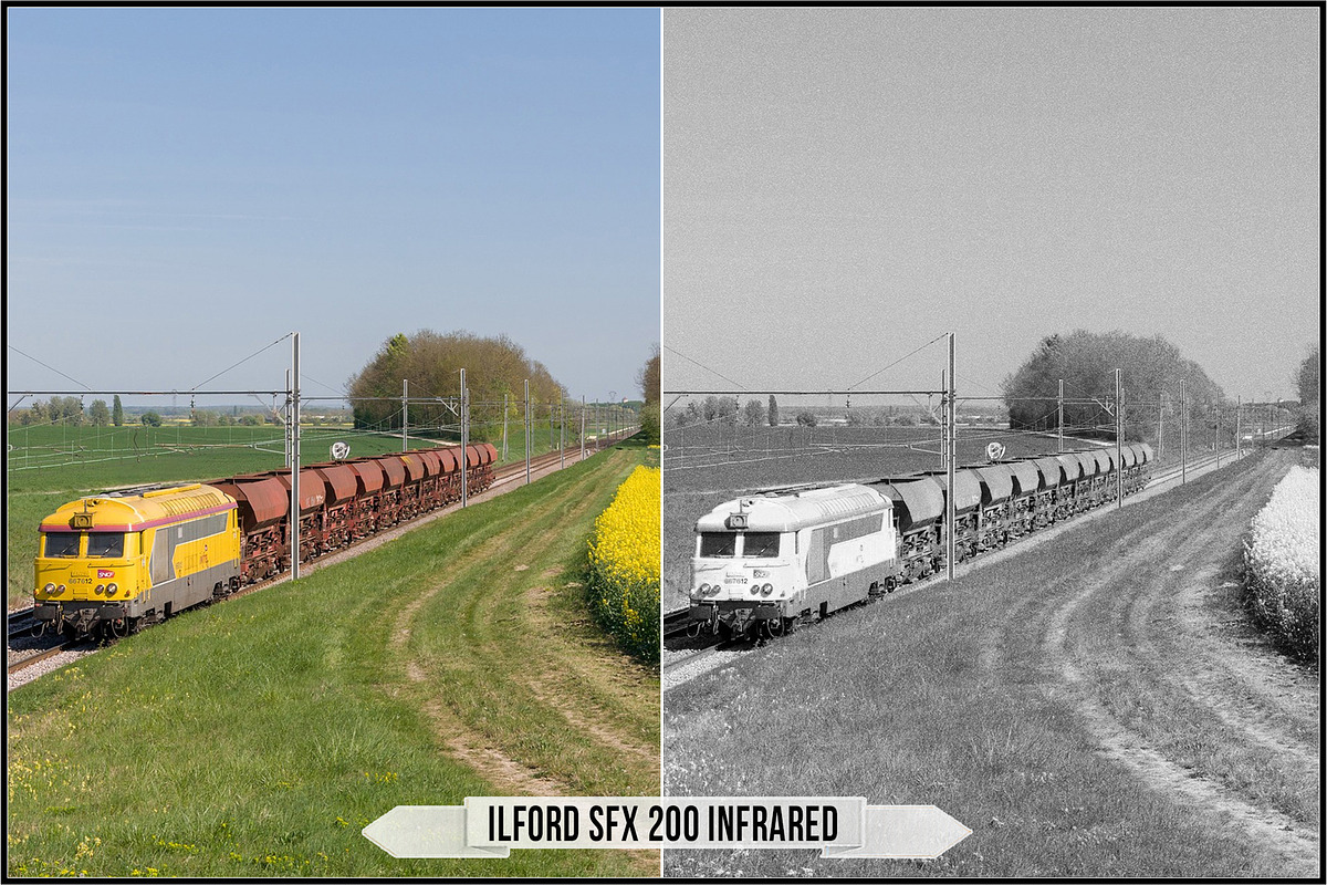 Ilford Films LUTs, a Plug-in Add-On by Raztrend (Photo 25 of 30)