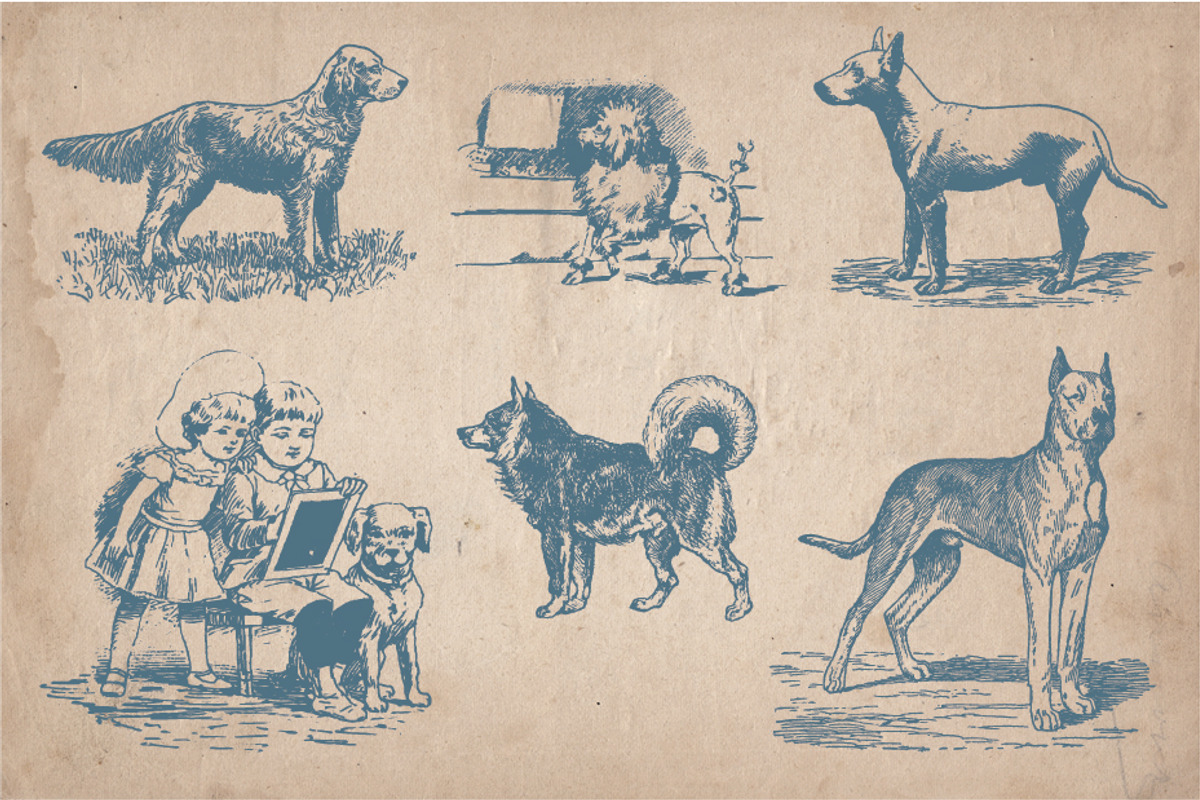32 Hand Drawn Dogs and Puppies, an Animal Illustration by Mr Vintage (Photo 4 of 5)