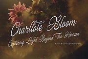 Hauliot Roisy | Handwritten Romantic, a Script Font by gracetype_studio (Thumbnail 5 of 12)