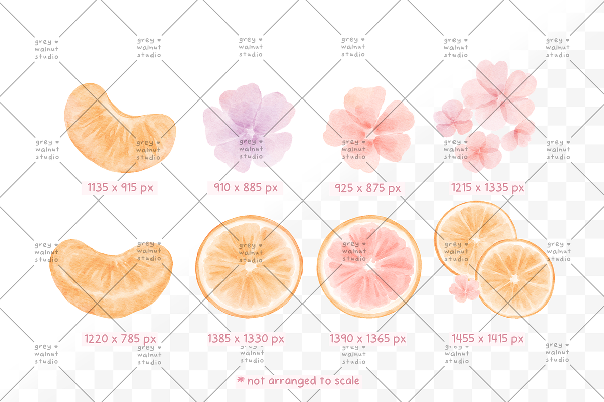 Clementine Clipart, a Decorative Illustration by greywalnutstudio (Photo 4 of 4)