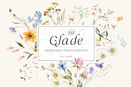 Wildflower Watercolor Floral Flower, a Decorative Illustration by Veris Studio