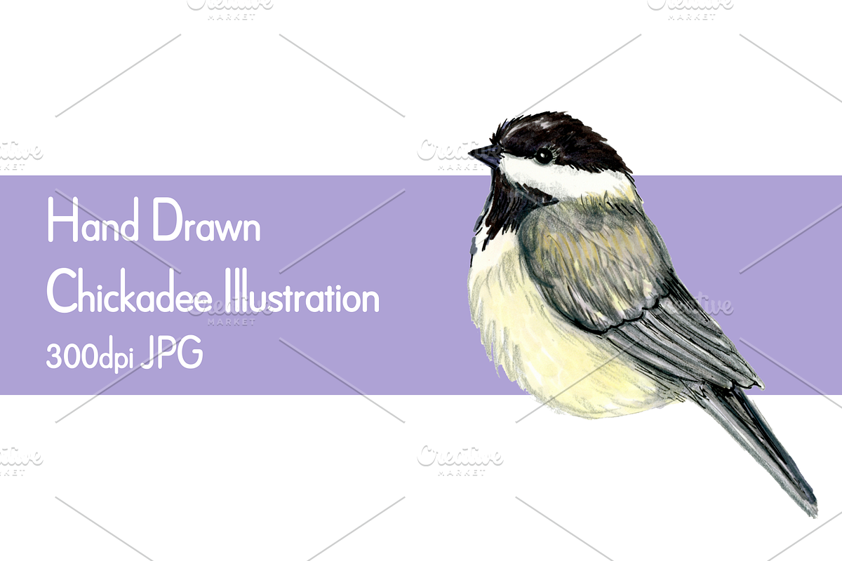 Chickadee Drawing Clip Art, an Illustration by Purple Pony Art (Photo 1 of 2)
