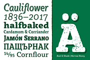 Sybilla Multiverse: Rust + Rough, a Slab Serif Font by Karandash (Thumbnail 3 of 7)