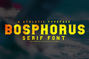 BOSPHORUS Serif font, a Serif Font by Artistic & Unique (Thumbnail 12 of 21)