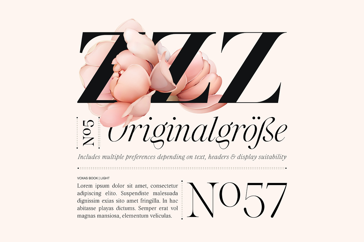 Voxas | 54 Font Serif, a Serif Font by Anthony James (Photo 10 of 22)