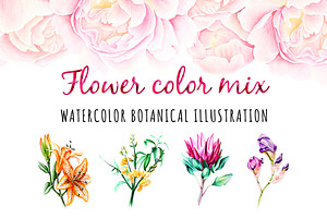 5 illustrations flower color mix