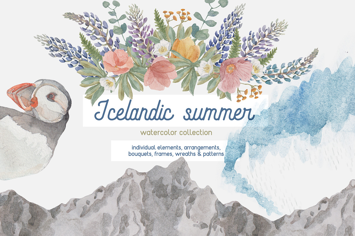 Icelandic Summer - 74 details, an Animal Illustration by Elisa Ursa (Photo 1 of 10)