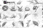 Flowers Stamps Brushes Procreate, a Brush Add-On by Procreate Market (Thumbnail 3 of 4)