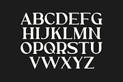 Ethical Mature Display Serif, a Serif Font by Artiveko (Thumbnail 5 of 8)