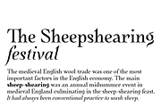 Quietism Display Base Pack, a Serif Font by Michael Rafailyk (Thumbnail 5 of 12)