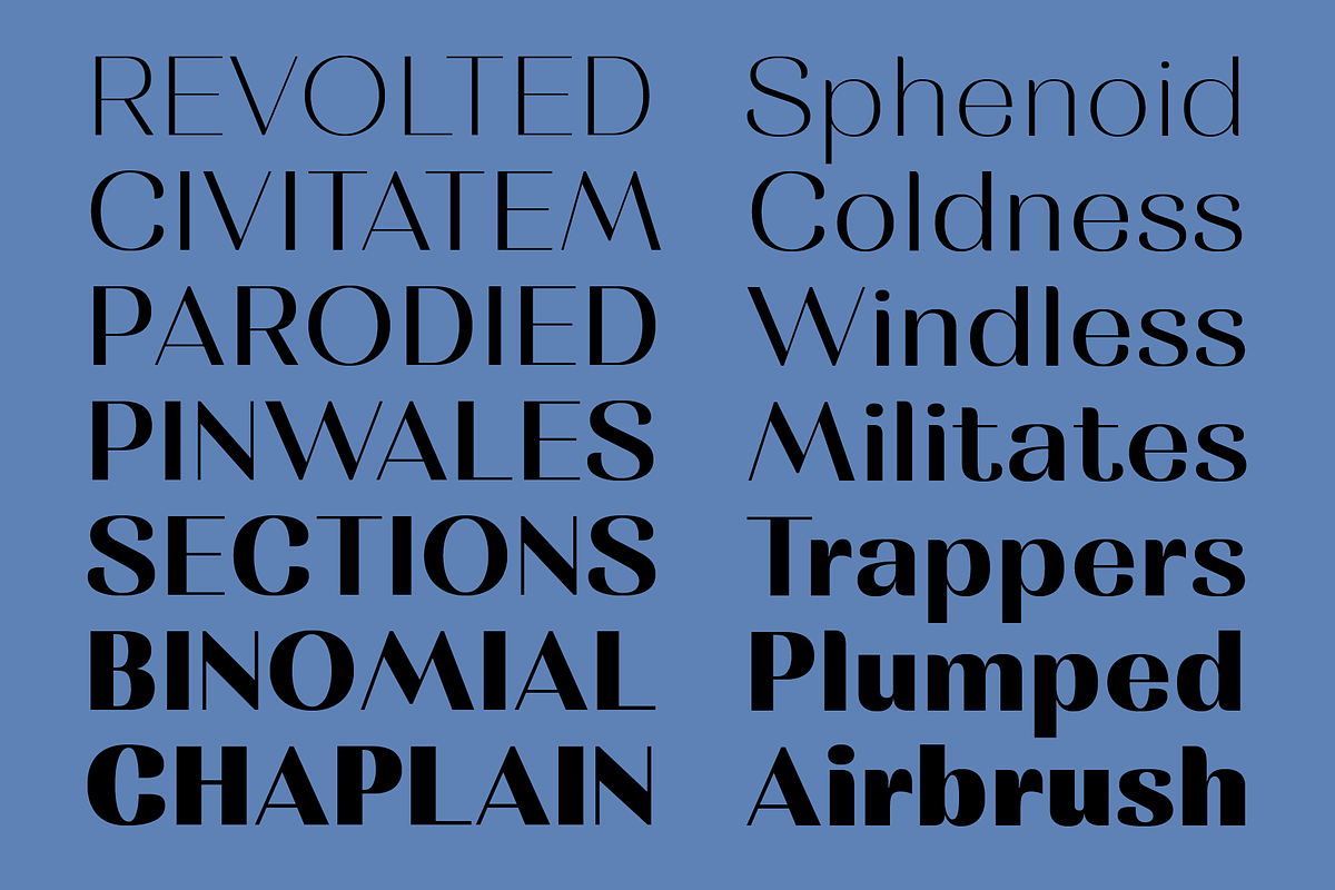 Rachstela Font Family - 14 Styles!, a Sans Serif Font by Martype (Photo 9 of 15)