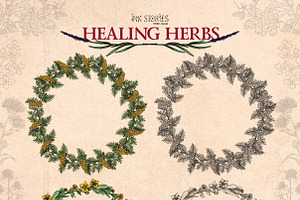 Healing Herbs Botanical Bundle