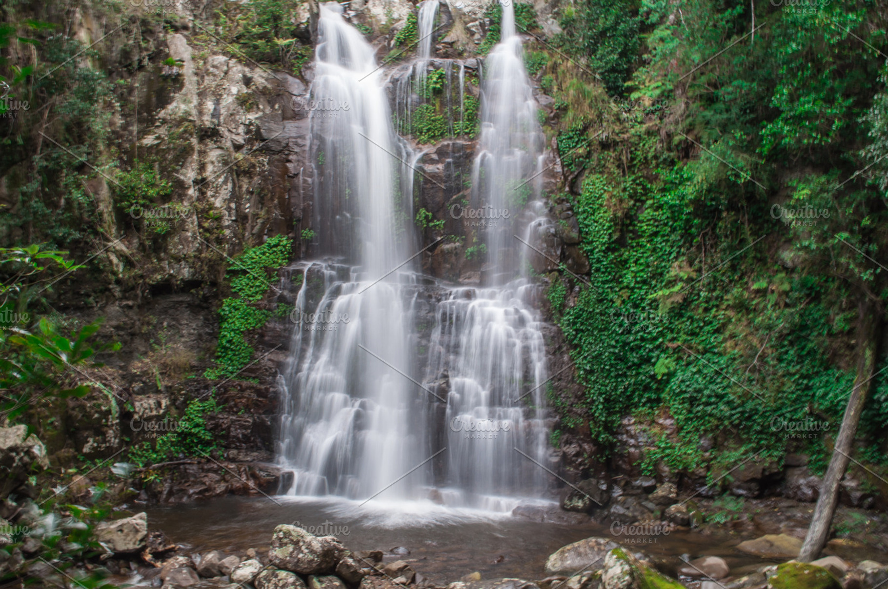 Australian Rainforest Waterfall Containing Waterfall Water And Australia