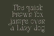 Stager - Unique Classy Serif, a Serif Font by Dharmas Foundry (Thumbnail 12 of 15)