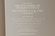 Bright Darling - Charming Font Duo, a Sans Serif Font by Sarid Ezra (Thumbnail 9 of 9)
