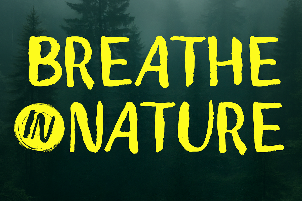 Sandra - Dry Brush Font, a Sans Serif Font by Angin Studio (Photo 3 of 7)