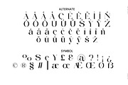 Riverie, a Serif Font by Zelda Graphic (Thumbnail 6 of 12)