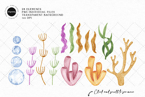 Sea Animals Watercolor Clipart