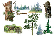 Owls in the forest .Woodland., an Animal Illustration by AkvarelRiver (Thumbnail 3 of 9)