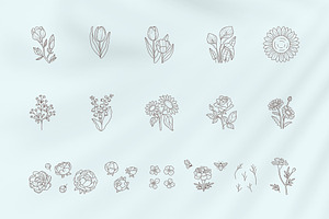 Floral Logo Elements And Templates