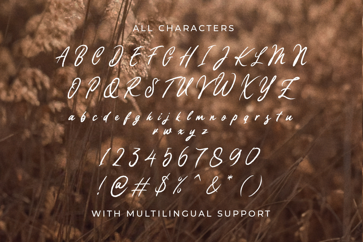 TImberland - Organic Script, a Script Font by Letterhend Studio (Photo 6 of 9)