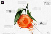 Watercolor Splatter Brushes, a Brush Add-On by Julia Dreams (Thumbnail 2 of 5)