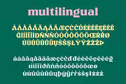 CHILLION, a Serif Font by Bagerich Type Foundry (Thumbnail 6 of 8)