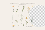 Watercolor Wildflowers Collection, an Object Illustration by Jenteva Art (Thumbnail 15 of 18)