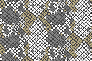 Snake Skin Seamless Pattern Set