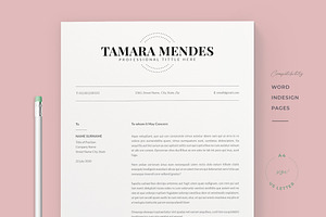 Professional Resume Template / Cv