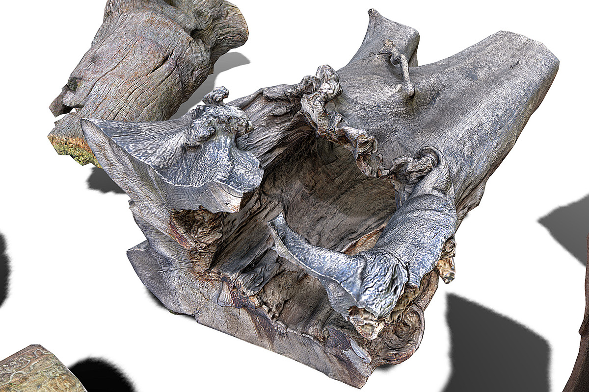 13 Tree Logs, an Environmental 3D Model by Beatheart Creative Studio (Photo 20 of 37)